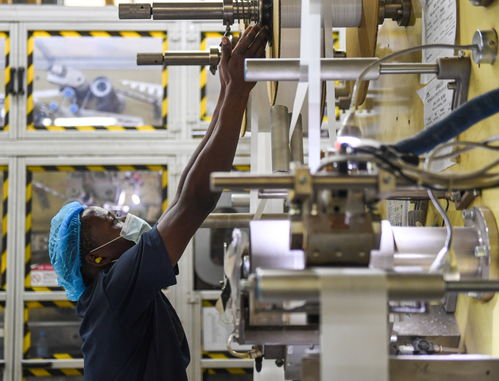 非洲觀察 極具活力的民間往來印證中非高水平合作