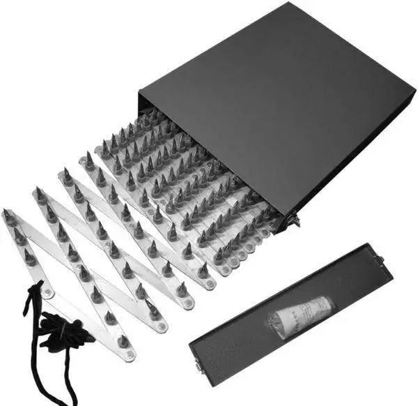 紅燈區(qū)死亡筆記:9個女孩,1把錐子,1個冰柜,1個黑色塑料袋